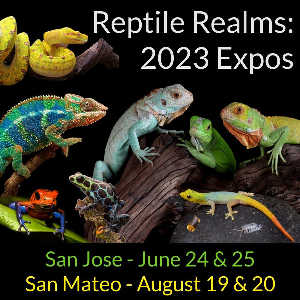 Reptile Realms Bay Area Reptile Expos